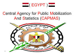 central-agency-for-public-mobilization-and-statistics-capmas