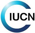 international-union-for-conservation-of-nature-iucn
